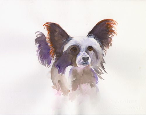 Paint your pet in Watercolor